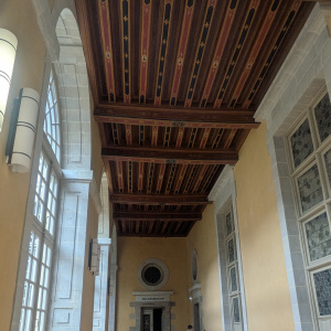 PXL_20260212_104228921