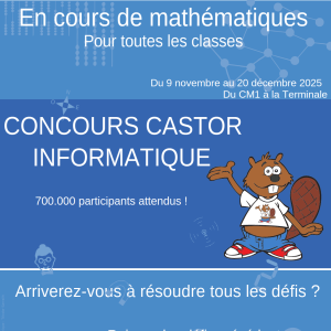 2025 11 Concours castor affiche